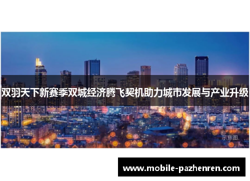 双羽天下新赛季双城经济腾飞契机助力城市发展与产业升级 双羽天下新赛季双城经济腾飞契机助力城市发展与产业升级