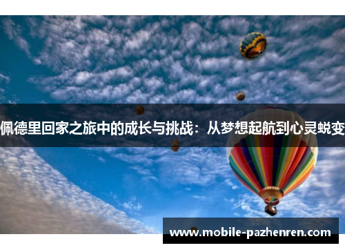 佩德里回家之旅中的成长与挑战:从梦想起航到心灵蜕变 佩德里回家之旅中的成长与挑战:从梦想起航到心灵蜕变