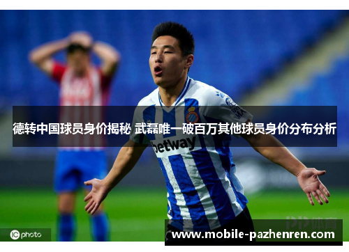 德转中国球员身价揭秘 武磊唯一破百万其他球员身价分布分析 德转中国球员身价揭秘 武磊唯一破百万其他球员身价分布分析