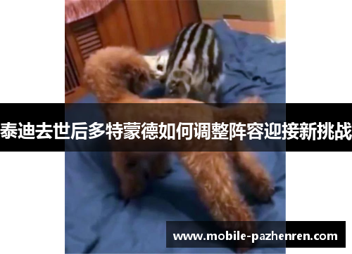 泰迪去世后多特蒙德如何调整阵容迎接新挑战 泰迪去世后多特蒙德如何调整阵容迎接新挑战