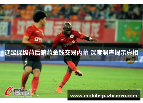 辽足保级背后暗藏金钱交易内幕 深度调查揭示真相 辽足保级背后暗藏金钱交易内幕 深度调查揭示真相