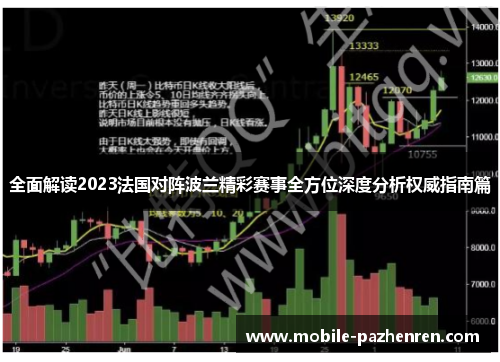 全面解读2023法国对阵波兰精彩赛事全方位深度分析权威指南篇