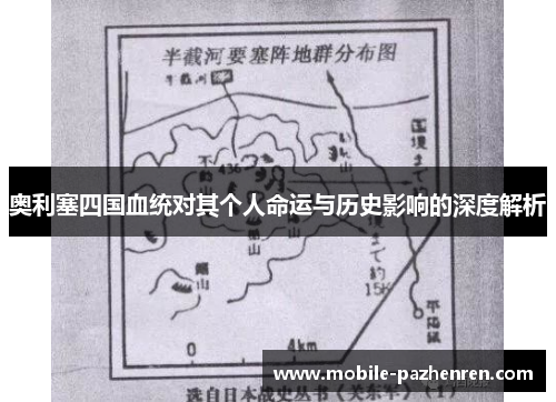 奥利塞四国血统对其个人命运与历史影响的深度解析