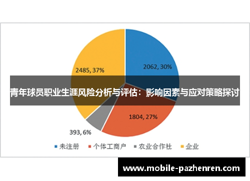 青年球员职业生涯风险分析与评估：影响因素与应对策略探讨