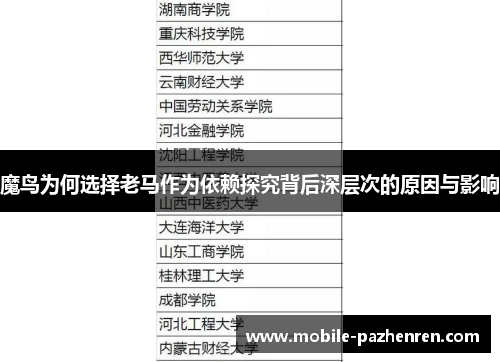 魔鸟为何选择老马作为依赖探究背后深层次的原因与影响 魔鸟为何选择老马作为依赖探究背后深层次的原因与影响