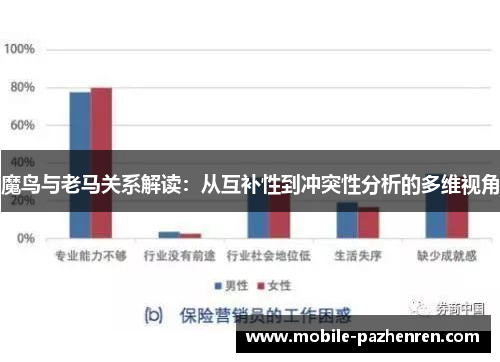 魔鸟与老马关系解读:从互补性到冲突性分析的多维视角 魔鸟与老马关系解读:从互补性到冲突性分析的多维视角