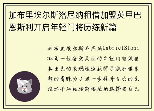 加布里埃尔斯洛尼纳租借加盟英甲巴恩斯利开启年轻门将历练新篇