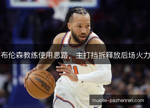 布伦森教练使用思路，主打挡拆释放后场火力